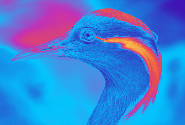 3 - Crane Nectar